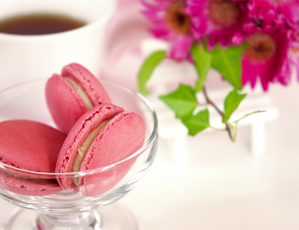 Free HTML5 Bootstrap Template